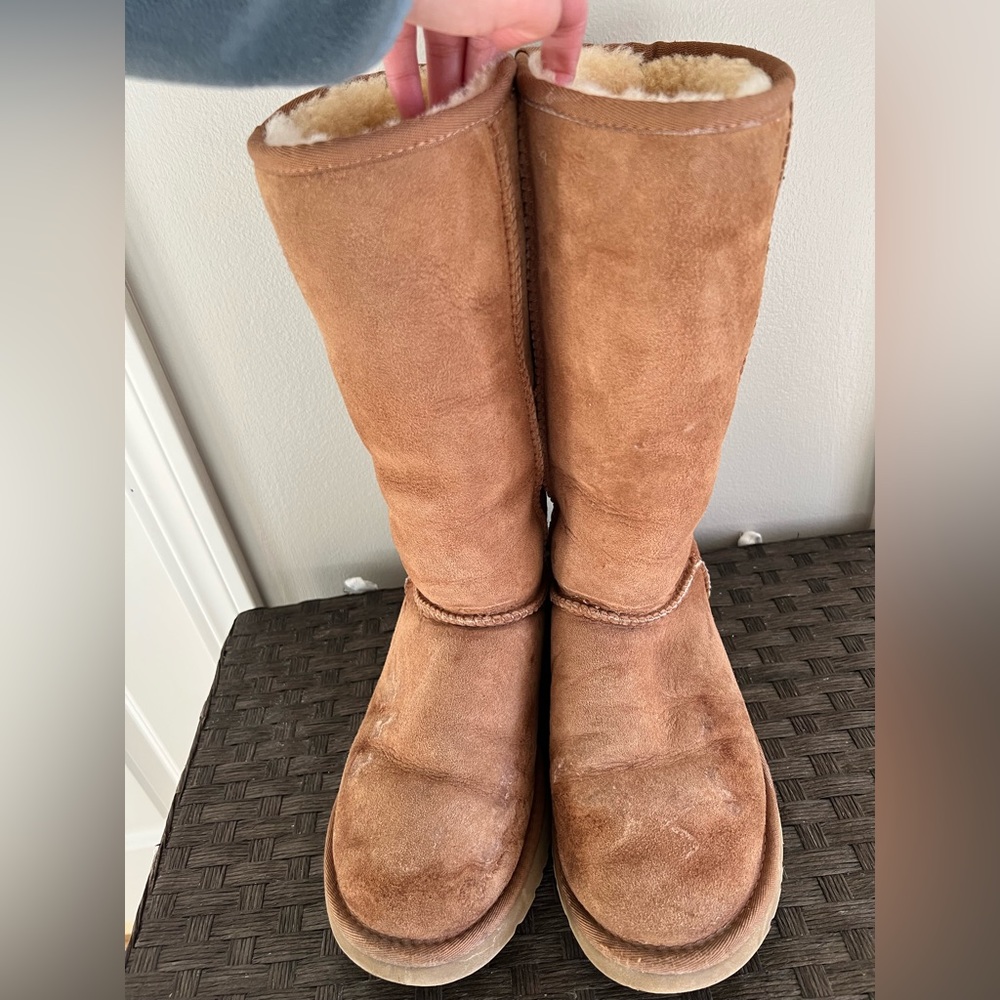 Chestnut Brown Uggs